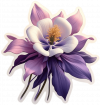 Colorado Columbine