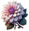 Dalia
