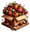 Cacao