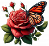 Rosa Roja y Mariposa Monarca