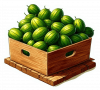 Caimito