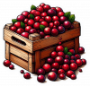 Cranberry