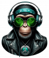 Chimpance Hippy