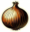 Cebolla