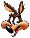 Wile E coyote