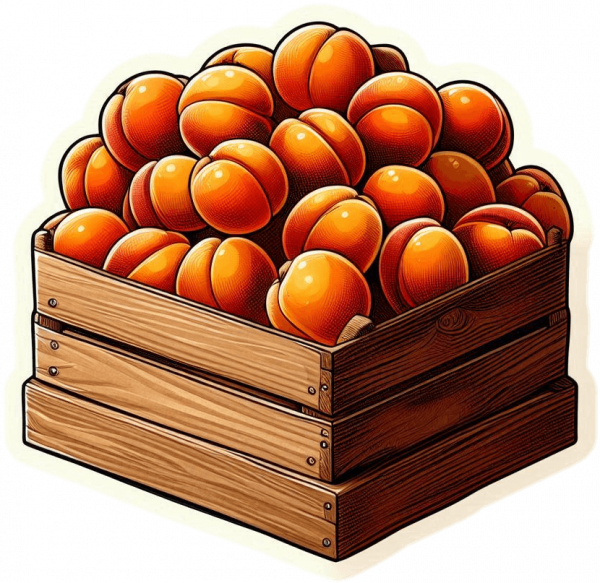 Albaricoque