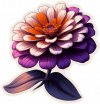 Zinnia