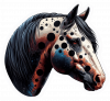 caballo Appaloosa