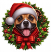 American Staffordshire terrier de Navidad