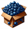 Arandanos Azules