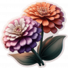Zinnia
