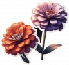 Zinnia