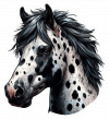 Caballo Appaloosa