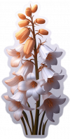 Campanillas