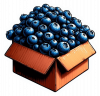 Arandanos Azules