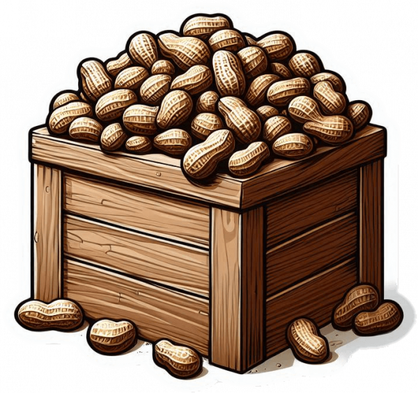 Cacahuate