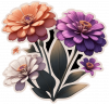 Zinnia