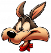 Wile E coyote