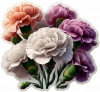 Clavel