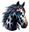 Caballo Appaloosa