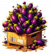 Berengena