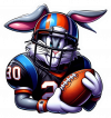 Bugs Bunny Futbolista Americano