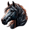 Caballo Arabe