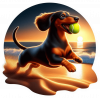 Dachshund Jugando en la Playa