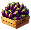 Berenjena