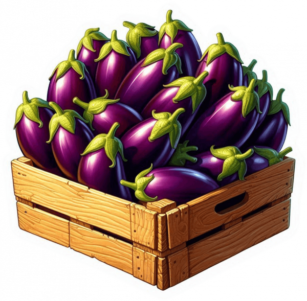 Berenjena