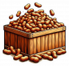 Cacahuate