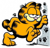 Garfield