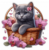 Gato Cartujo Cesta y flores