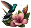 Colibri en Flor