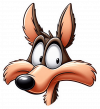 El coyote