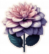 Dalia