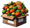 Bergamota