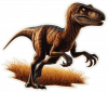Velociraptor