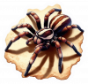 Araña Lobo 01
