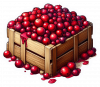 Cranberry 01