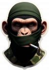 Chimpance02
