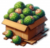 Chirimoya 02
