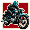 Triumph Tiger 100 02