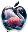 Cisne En Manzana De Cristal 02