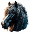 Caballo Frisón 02
