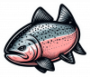 Salmon 03