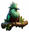 Quetzal02