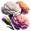 Clavel 03