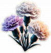 Clavel 06