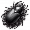 Escarabajo02